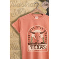 Texas Vintage Graphic Plus - Adult & Kids T-Shirts, Sweatshirts & Hoodies apparel design preview 1