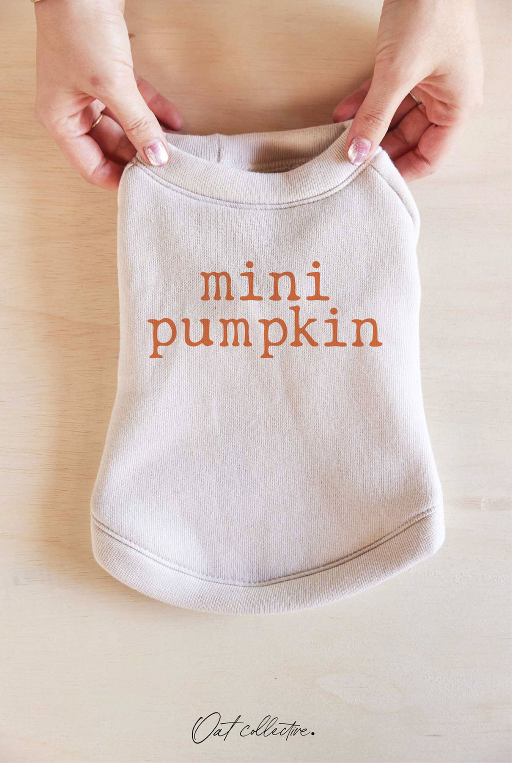 Mini Pumpkin Pet Graphic - Adult & Kids T-Shirts, Sweatshirts & Hoodies apparel design preview 1