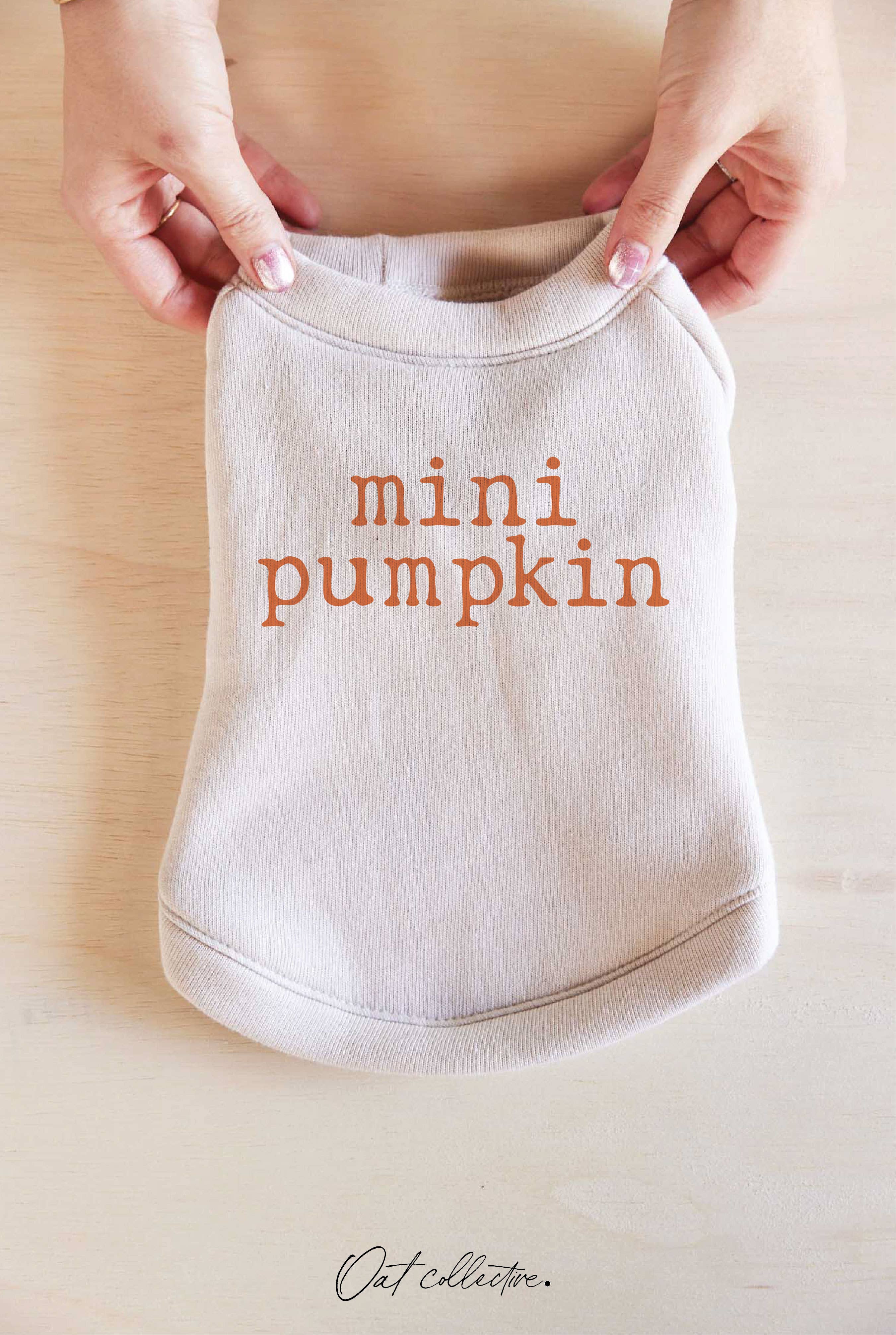 Mini Pumpkin Pet Graphic - Adult & Kids T-Shirts, Sweatshirts & Hoodies apparel design preview 1