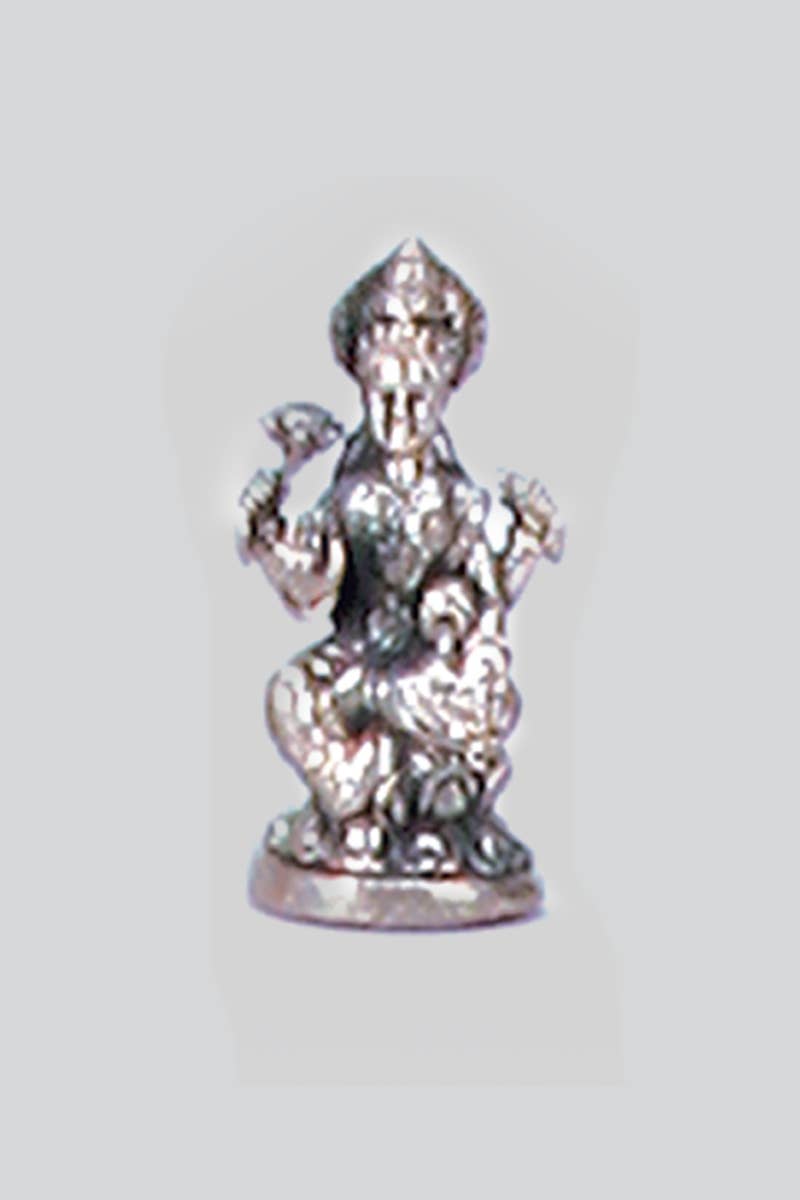 Laxmi Statue (S-58) - Adult & Kids T-Shirts, Sweatshirts & Hoodies apparel design preview 1