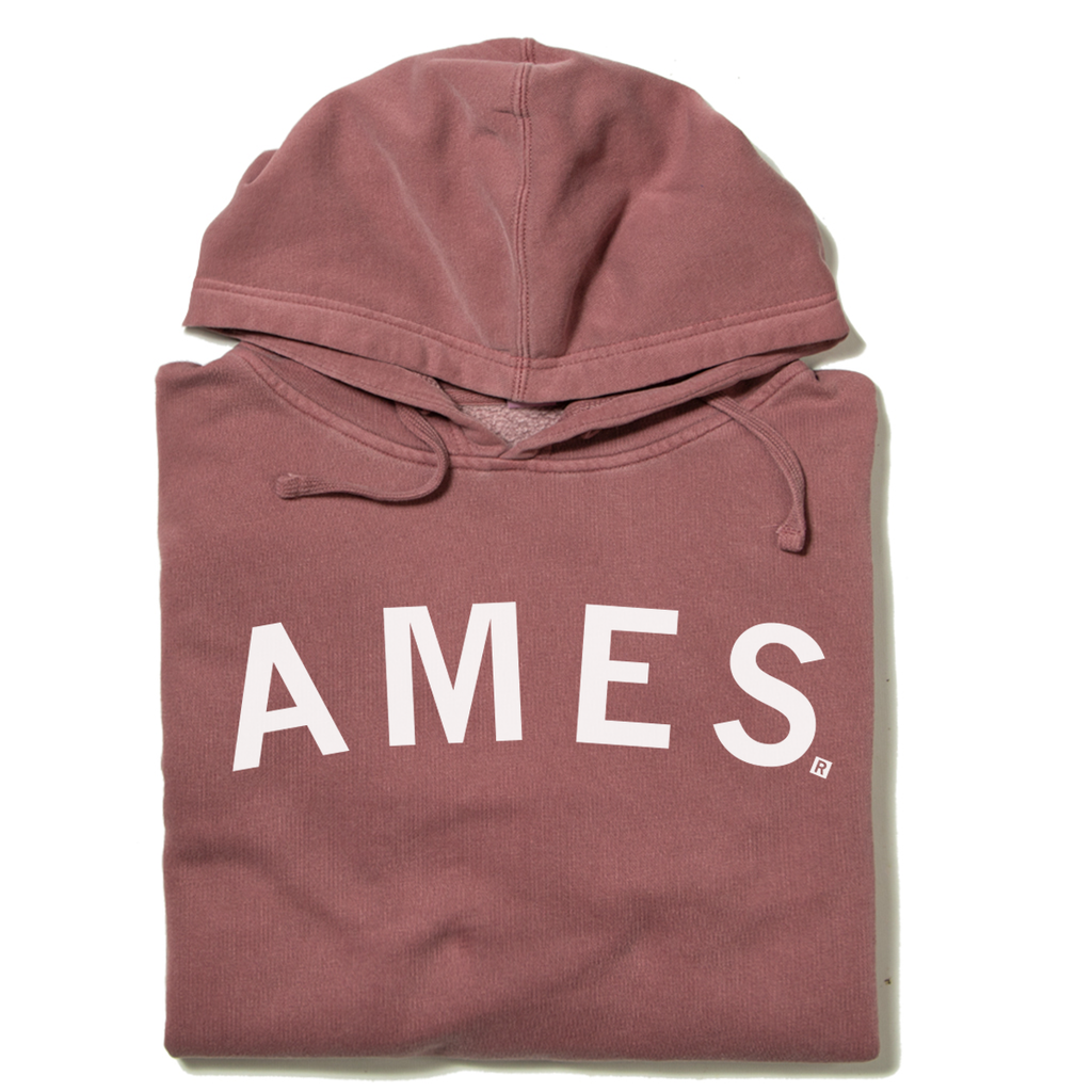 Ames Curved Logo - Adult & Kids T-Shirts, Sweatshirts & Hoodies apparel design preview 1