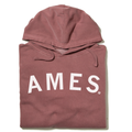 Ames Curved Logo - Adult & Kids T-Shirts, Sweatshirts & Hoodies apparel design preview 1