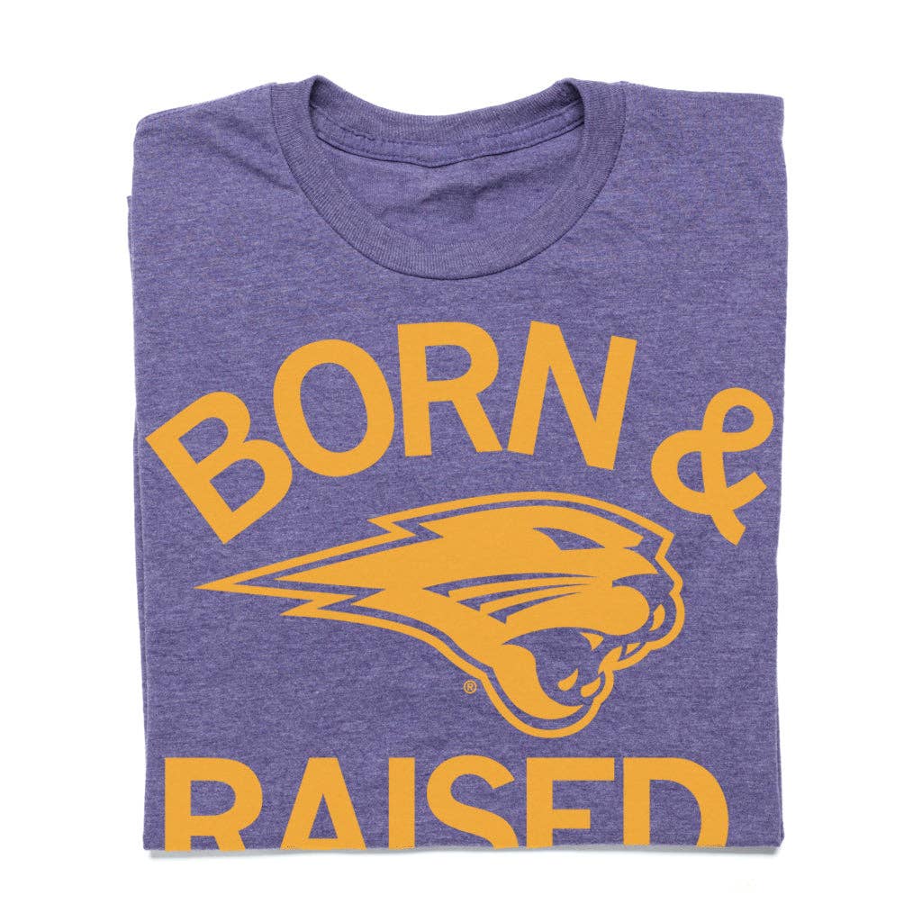 Panthers Born Raised - Adult & Kids T-Shirts, Sweatshirts & Hoodies apparel design preview 1