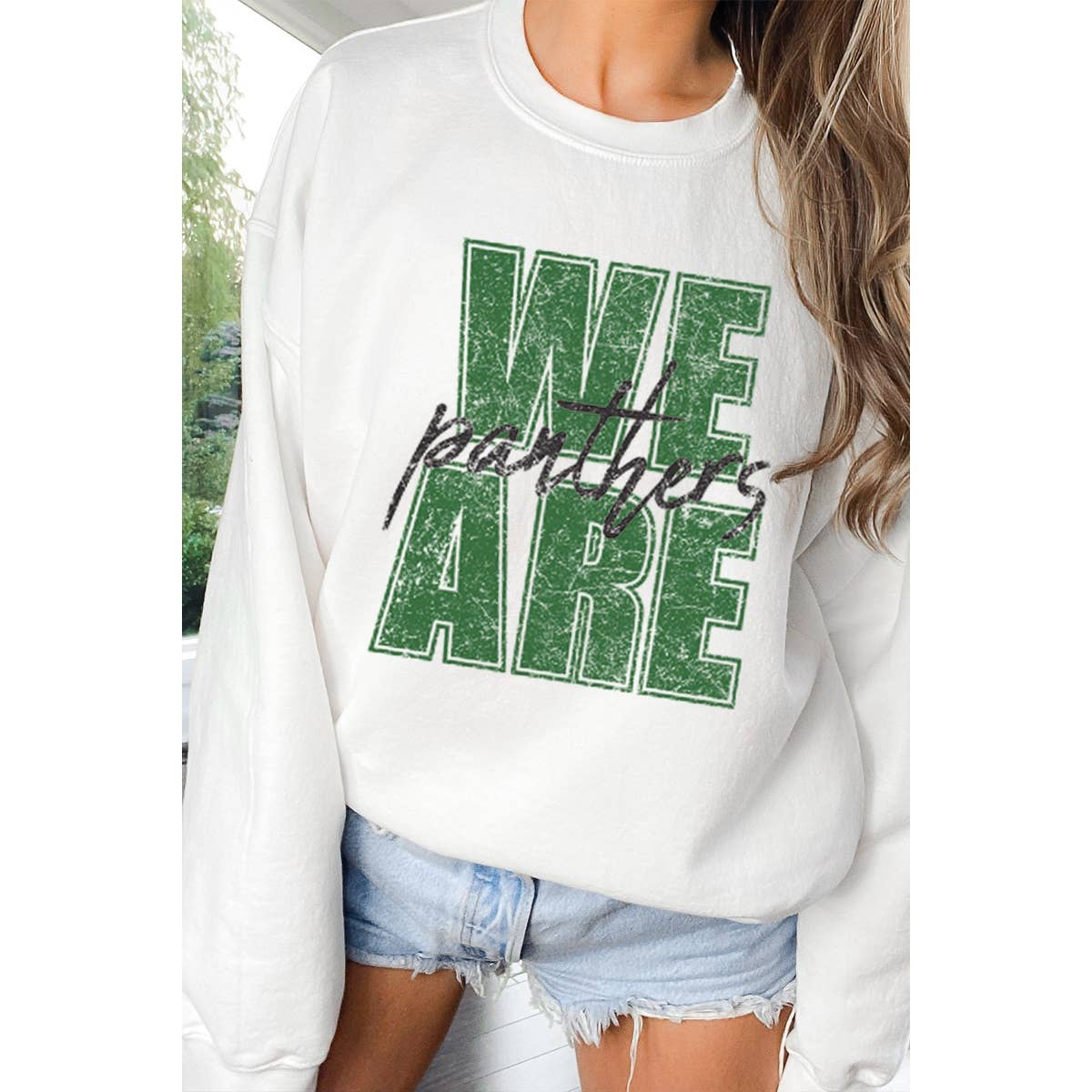 We Are Panther Vintage Graphic - Adult & Kids T-Shirts, Sweatshirts & Hoodies apparel design preview 1