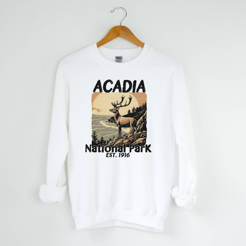 Acadia White National Park Sizes S-2XL - Adult & Kids T-Shirts, Sweatshirts & Hoodies apparel design preview 1