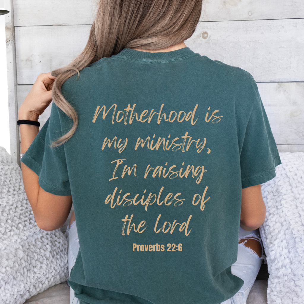 Proverbs 22:6 Graphic Christian Faith Spring - Adult & Kids T-Shirts, Sweatshirts & Hoodies apparel design preview 1