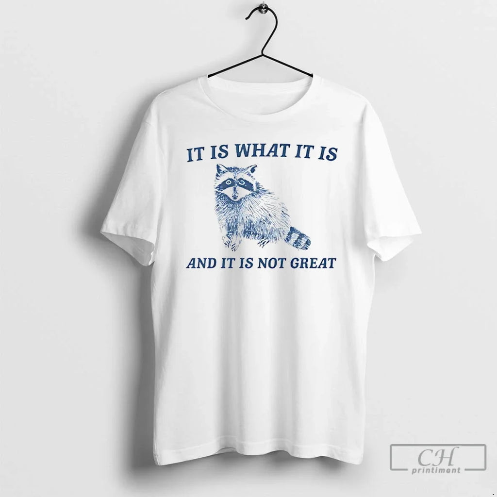 Classic It Is What And Not Great Raccoon Sweater - Adult & Kids T-Shirts, Sweatshirts & Hoodies apparel design preview 1