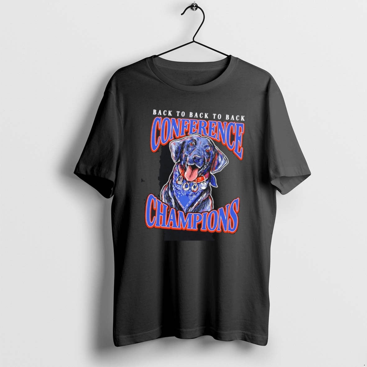 Official Boise State Broncos 2025 Back To Conference - Adult & Kids T-Shirts, Sweatshirts & Hoodies apparel design preview 1