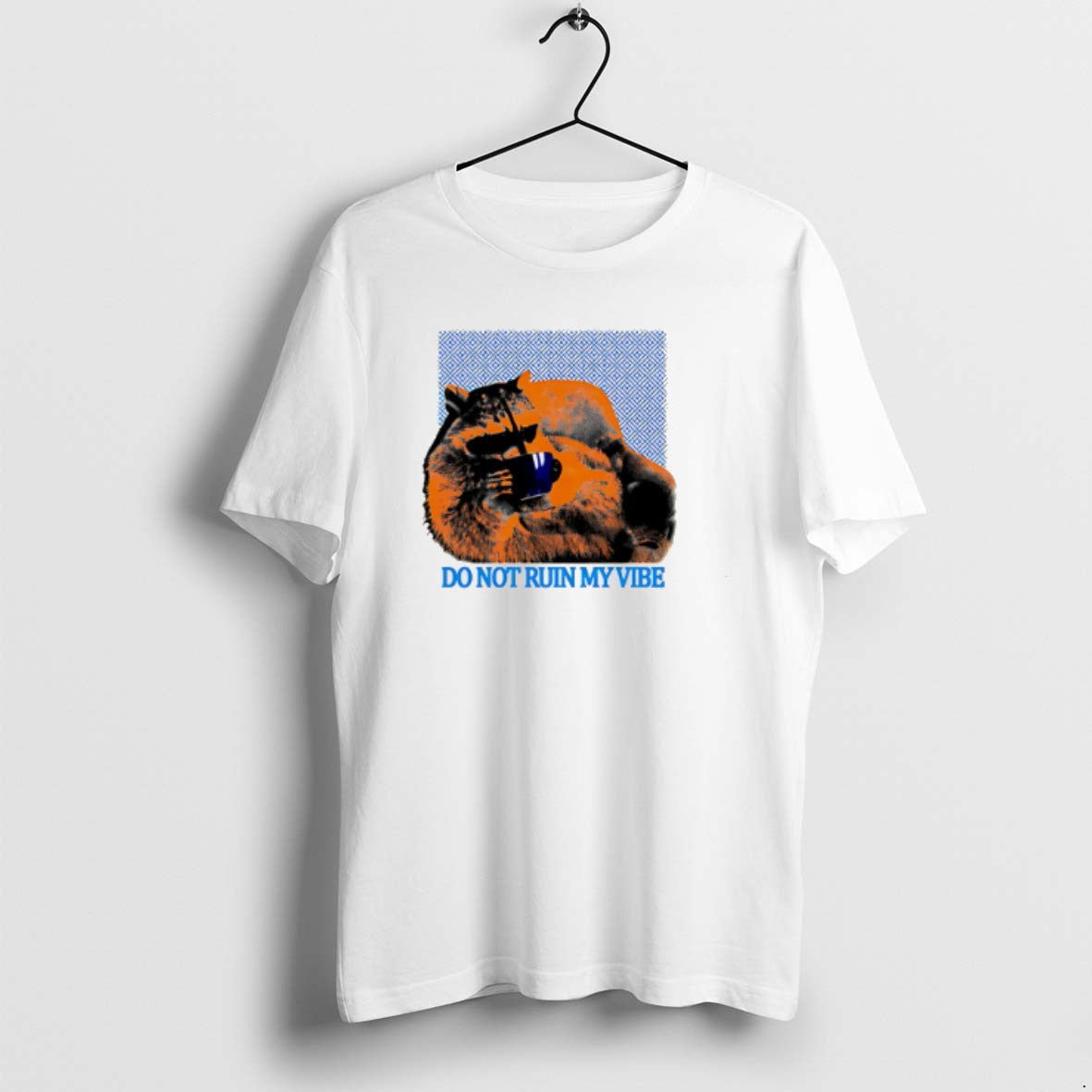 Official Do Not Ruin My Vibe Raccoon Trash Panda - Adult & Kids T-Shirts, Sweatshirts & Hoodies apparel design preview 1