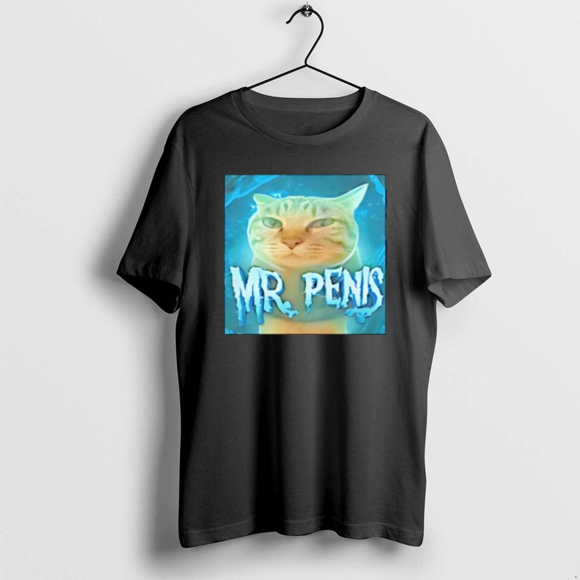 Official Mr Penis Cat Meme Christmas - Adult & Kids T-Shirts, Sweatshirts & Hoodies apparel design preview 1