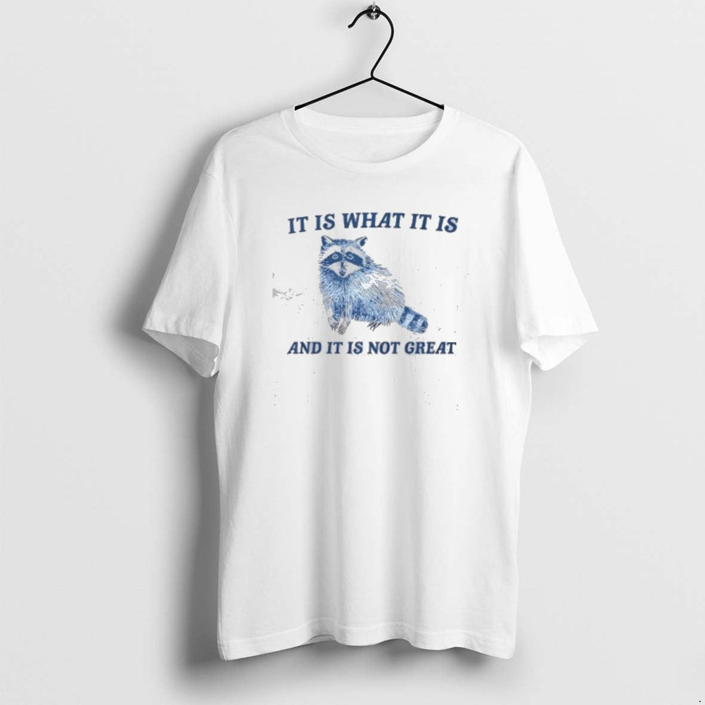 Official Raccoon It Is What And Not Great Vintage - Adult & Kids T-Shirts, Sweatshirts & Hoodies apparel design preview 1