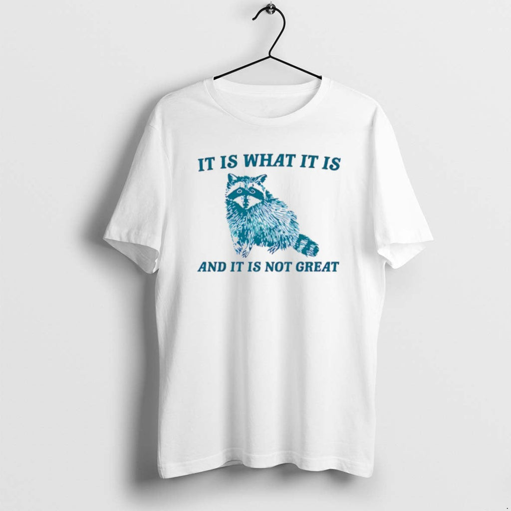 Official Raccoon It Is What And Not Great - Adult & Kids T-Shirts, Sweatshirts & Hoodies apparel design preview 1
