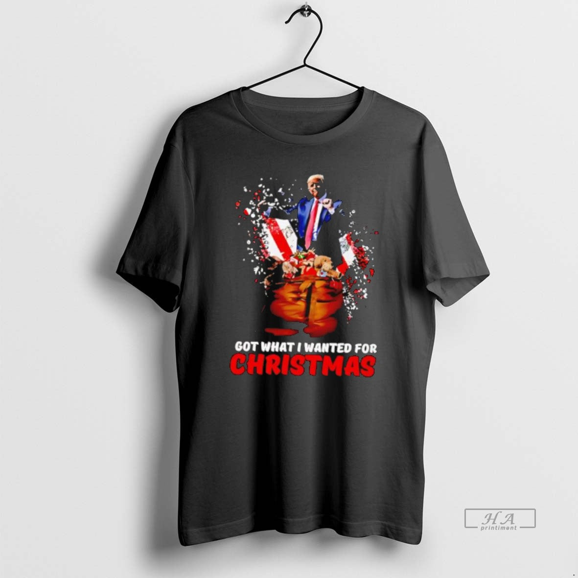 Official Trump Got What I Wanted For Christmas - Adult & Kids T-Shirts, Sweatshirts & Hoodies apparel design preview 1