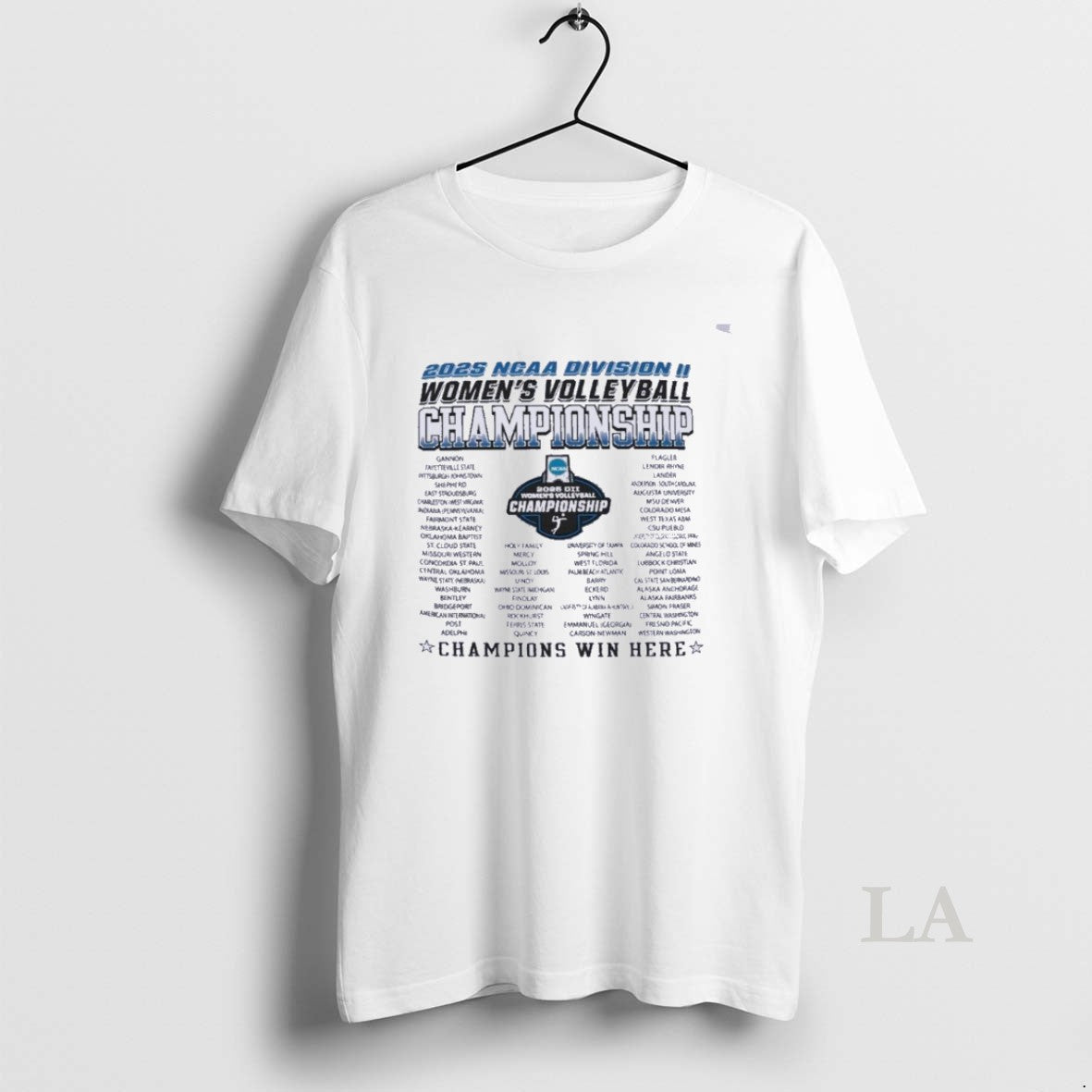 Original Dii Womens Volleyball Regionals 2025 - Adult & Kids T-Shirts, Sweatshirts & Hoodies apparel design preview 1