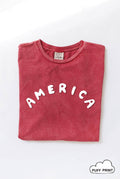 America Puff Print Mineral Washed Graphic Top - Adult & Kids T-Shirts, Sweatshirts & Hoodies apparel design preview 1
