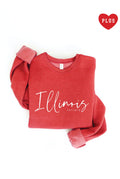 Illinois Est.1818 Plus Graphic - Adult & Kids T-Shirts, Sweatshirts & Hoodies apparel design preview 1