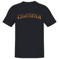Rochester Tiger Print Arch Design Men's - Adult & Kids T-Shirts, Sweatshirts & Hoodies apparel design preview 1