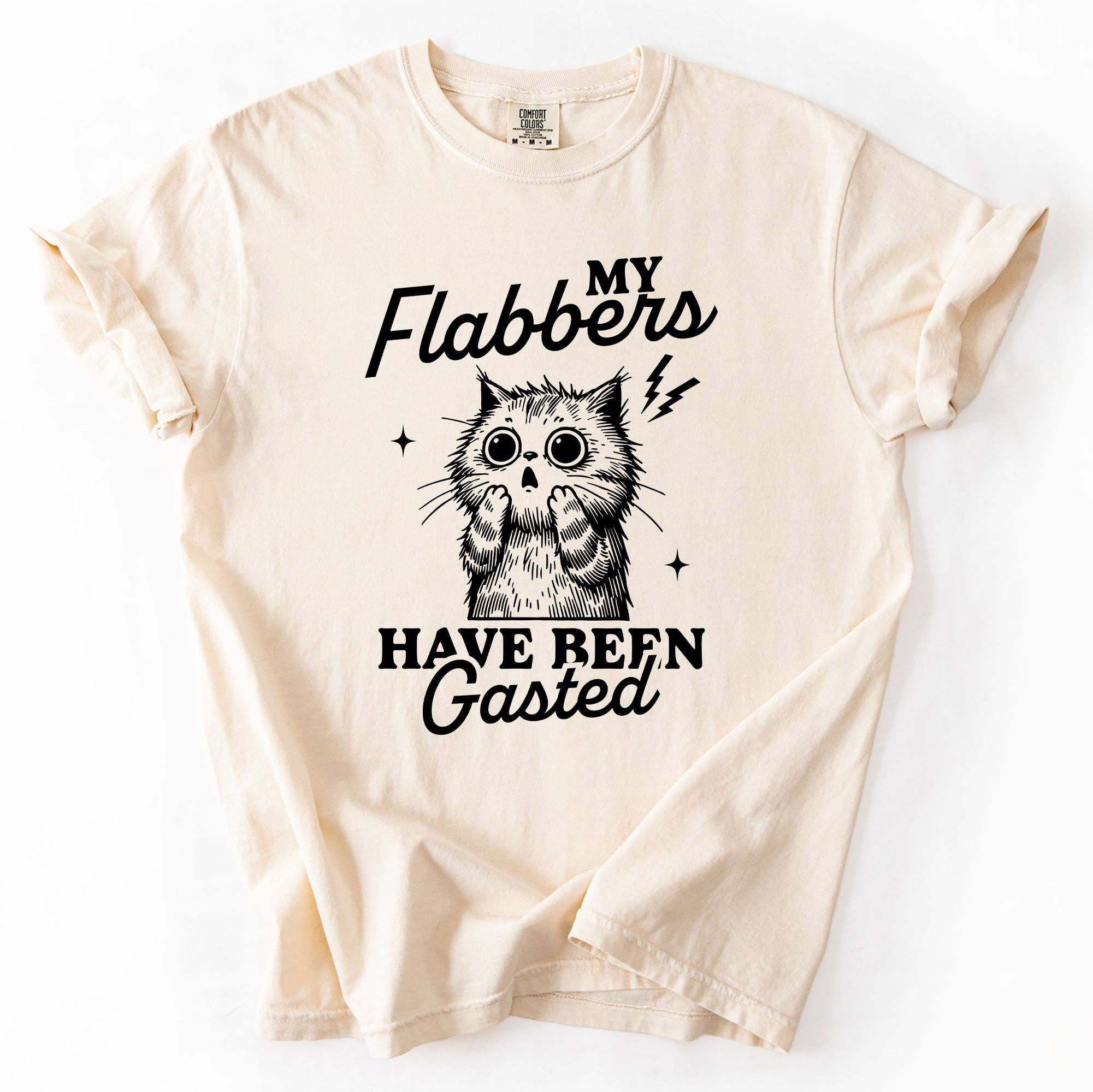 My Flabbers Have Been Gasted, Funny, Sassy, Sarcastic - Adult & Kids T-Shirts, Sweatshirts & Hoodies apparel design preview 1