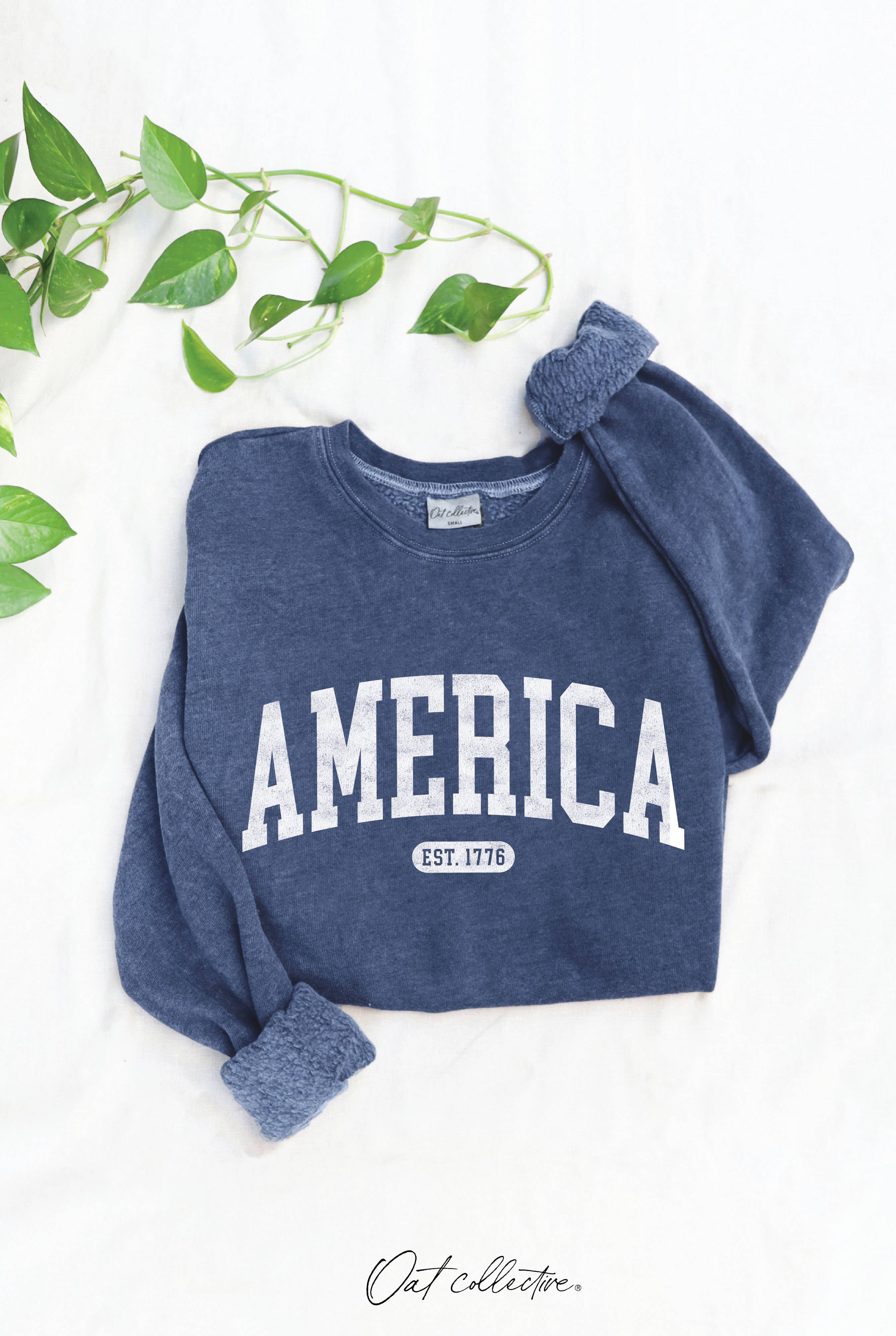 America Est 1776 Mineral Graphic - Adult & Kids T-Shirts, Sweatshirts & Hoodies apparel design preview 1