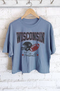 Wisconsin Football - Adult & Kids T-Shirts, Sweatshirts & Hoodies apparel design preview 1