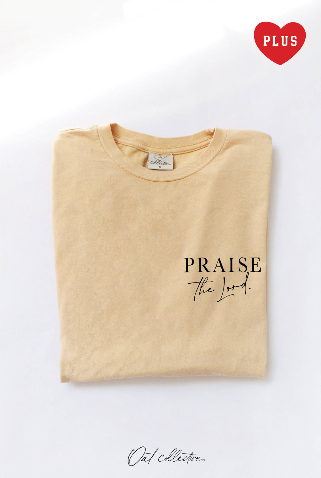 Praise the Lord Plus Mineral Graphic Top - Adult & Kids T-Shirts, Sweatshirts & Hoodies apparel design preview 1