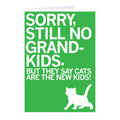 Sorry No Grandkids Cat Greeting Card - Adult & Kids T-Shirts, Sweatshirts & Hoodies apparel design preview 1