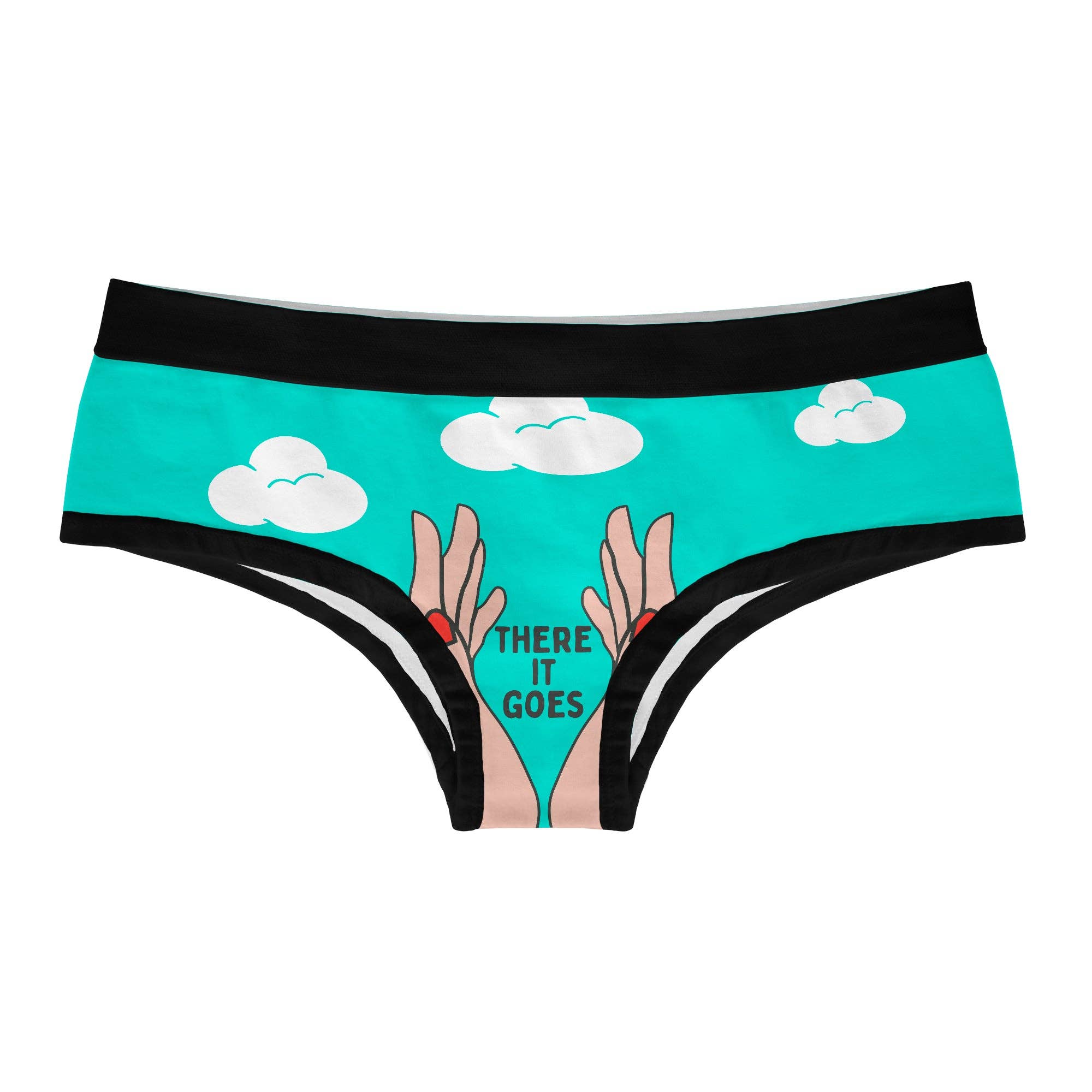 There Goes My Last Flying Fuck Hipster Underwear - Adult & Kids T-Shirts, Sweatshirts & Hoodies apparel design preview 1