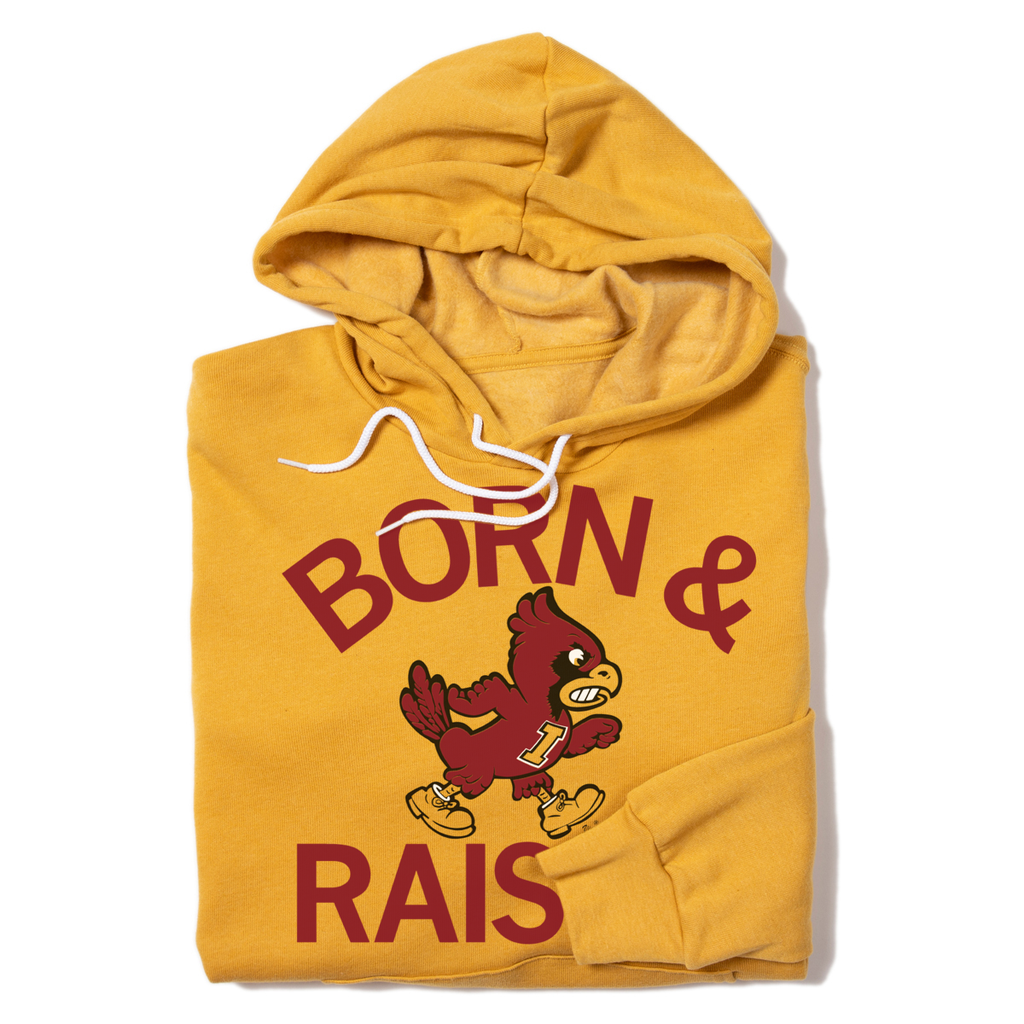 Cyclones Born Raised Vintage Gold - Adult & Kids T-Shirts, Sweatshirts & Hoodies apparel design preview 1