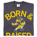 Hawkeyes Born Raised Vintage Heavyweight - Adult & Kids T-Shirts, Sweatshirts & Hoodies apparel design preview 1