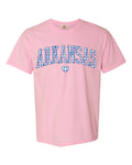 Arkansas Gingham Heart Blossom Comfort Colors - Adult & Kids T-Shirts, Sweatshirts & Hoodies apparel design preview 1