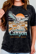 Grand Canyon Eagle Mineral Graphic - Adult & Kids T-Shirts, Sweatshirts & Hoodies apparel design preview 1
