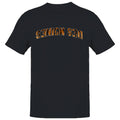 Des Moines Seniors Tiger Print Arc Men's - Adult & Kids T-Shirts, Sweatshirts & Hoodies apparel design preview 1