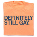 Definitely Still Gay - Adult & Kids T-Shirts, Sweatshirts & Hoodies apparel design preview 1