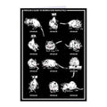 Midwestern Marsupials Greeting Card - Adult & Kids T-Shirts, Sweatshirts & Hoodies apparel design preview 1
