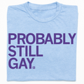 Probably Still Gay - Adult & Kids T-Shirts, Sweatshirts & Hoodies apparel design preview 1