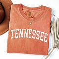 Tennessee, Football, Game Day Tailgate Party State - Adult & Kids T-Shirts, Sweatshirts & Hoodies apparel design preview 1