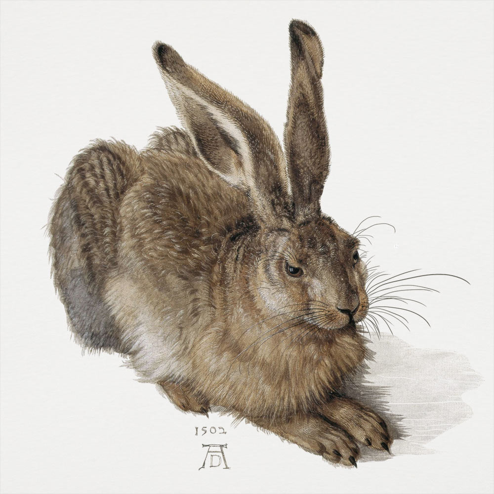Durer Rabbit Full Color - Adult & Kids T-Shirts, Sweatshirts & Hoodies apparel design preview 1