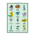 Midwestern Prairie Flowers Greeting Card - Adult & Kids T-Shirts, Sweatshirts & Hoodies apparel design preview 1