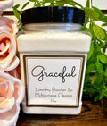 Graceful Laundry Booster Multipurpose Cleaner - Adult & Kids T-Shirts, Sweatshirts & Hoodies apparel design preview 1
