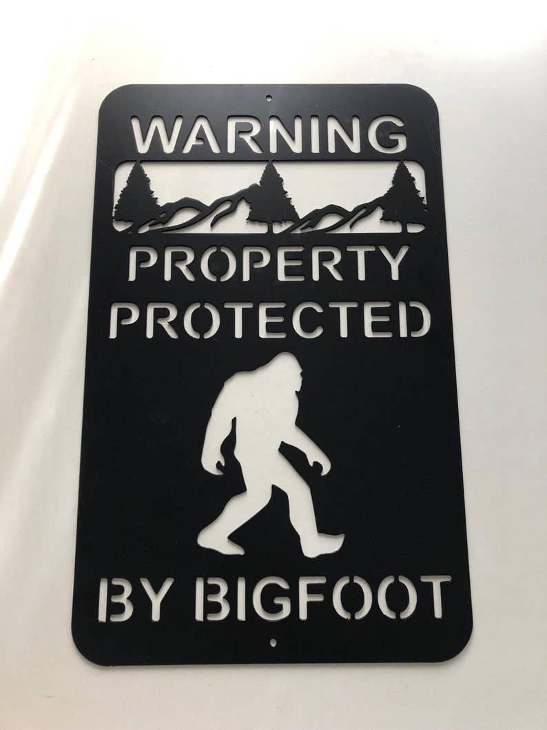 Protected By Bigfoot Sign - Adult & Kids T-Shirts, Sweatshirts & Hoodies apparel design preview 1