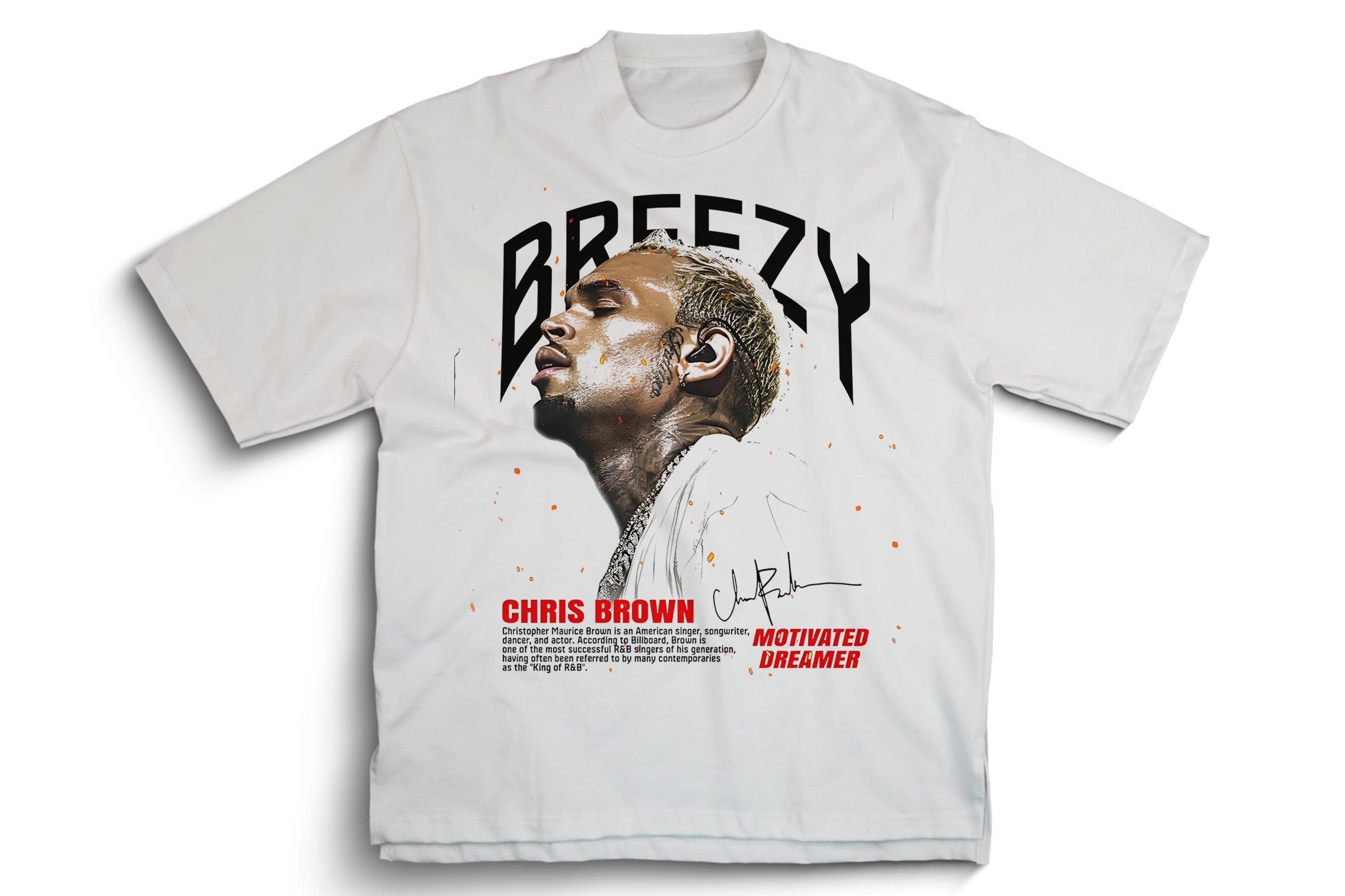 Chris Brown Breezy 11 Tour Vintage Hip Hop - Adult & Kids T-Shirts, Sweatshirts & Hoodies apparel design preview 1