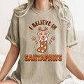 I Believe in Santa, Dog Lover, Pets, Christmas,, - Adult & Kids T-Shirts, Sweatshirts & Hoodies apparel design preview 1