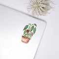Begonia Sticker House Plant Stickers - Adult & Kids T-Shirts, Sweatshirts & Hoodies apparel design preview 1