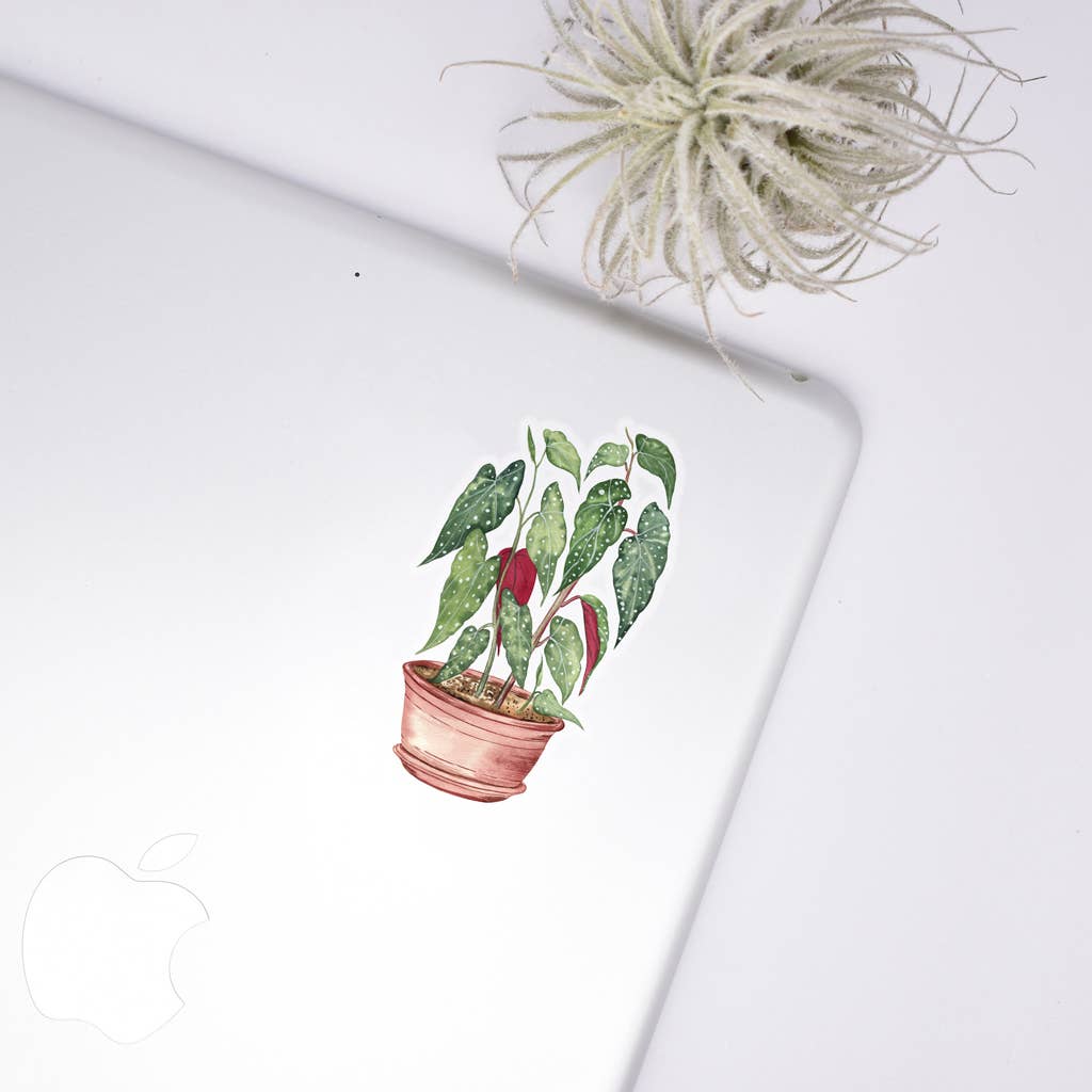 Begonia Sticker House Plant Stickers - Adult & Kids T-Shirts, Sweatshirts & Hoodies apparel design preview 1