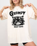 Grumpy Cat, Funny, Snarky, Sarcasm, Most Days - Adult & Kids T-Shirts, Sweatshirts & Hoodies apparel design preview 1