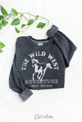 The Wild West Mineral Graphic - Adult & Kids T-Shirts, Sweatshirts & Hoodies apparel design preview 1