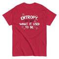 Entropy, It's Not What It Used To Be Men's Classic - Adult & Kids T-Shirts, Sweatshirts & Hoodies apparel design preview 1