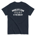 Absolute Zero Is The Coolest Men's Classic - Adult & Kids T-Shirts, Sweatshirts & Hoodies apparel design preview 1