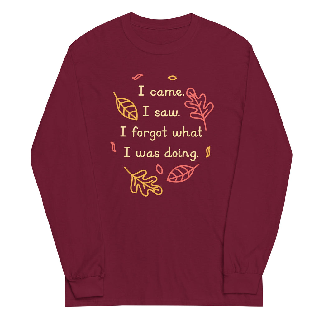 I Came. Saw. Forgot What Was Doing. - Adult & Kids T-Shirts, Sweatshirts & Hoodies apparel design preview 1