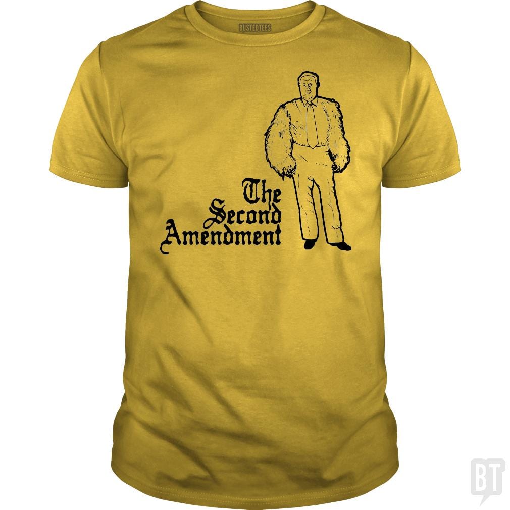 Second Amendment - Adult & Kids T-Shirts, Sweatshirts & Hoodies apparel design preview 1